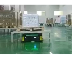 91在线无精精品秘 入口